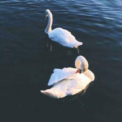 赢三张免费游戏app下载