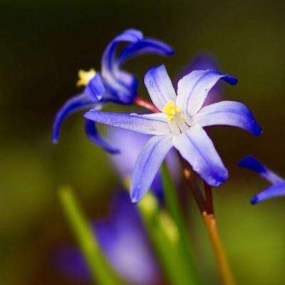 牛宝体育登录地址入口