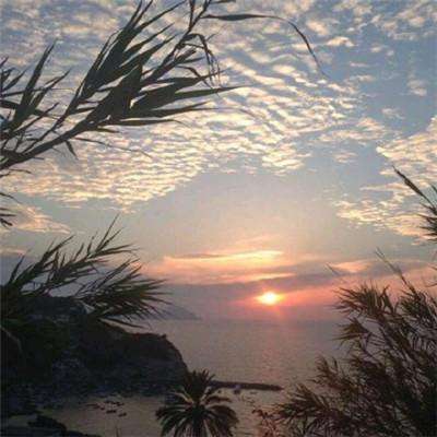 雅博app官网下载